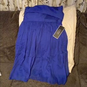 J Crew Royal Blue Silk Crepe strapless dress NEW!